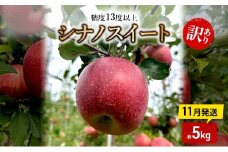 [№5554-0320]りんご【11月発送】糖度13度以上 訳あり 家庭用 シナノスイート 約5kg【青森りんご】