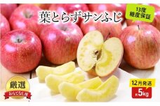 [№5554-0325]りんご【12月・1月発送】蜜入り 糖度13度以上 おもてなし品  葉とらず サンふじ 約5kg【青森りんご】果物 フルーツ 産地直送 贈り物 年末 年始 挨拶