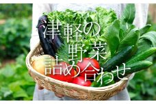 津軽の季節の野菜詰め合わせセット 【中泊町特産物直売所ピュア】旬の野菜 旬野菜 旬 新鮮 食品 グルメ 詰め合わせ 冷蔵 ファーマーズマーケット  野菜 美味しい 甘い サラダ 中泊町 青森 F6N-022
