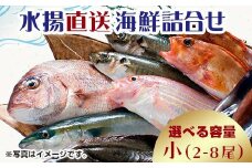 中泊水揚直送 海鮮詰合せ 小 （2～8尾程度） ※下処理済み 【徐福の里物産品直売所】 旬 詰め合わせ 海鮮 ウスメバル メバル めばる ソイ カレイ ヒラメ 真鯛 タイ タコ ホッケ 中泊 青森県 F6N-025