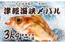 小泊港水揚げ 一本釣り 津軽海峡メバル 約3kg（7尾～9尾入） 【卓立水産】魚 海鮮 ウスメバル メバル めばる 高級 海産物 刺身 煮付け 中泊町 青森 F6N-033