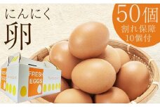 青森県産 にんにく卵 50個 （割れ保障10個付） 【修清】 たまご タマゴ 玉子 エッグ にんにく 栄養 濃厚 甘み 卵かけご飯 特産品 地元 中泊町 青森 F6N-079