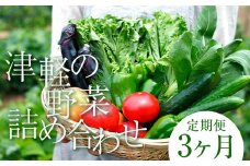 津軽の季節の野菜詰め合わせセット 《定期便》【3ヶ月連続】 【中泊町特産物直売所ピュア】旬の野菜 旬野菜 旬 新鮮 食品 グルメ 詰め合わせ ファーマーズマーケット 甘い サラダ 国産 お取り寄せ 青森 F6N-098