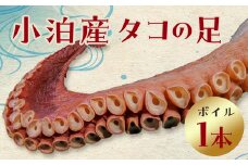 小泊産 タコの足 （ボイル）1本 【徐福の里物産品直売所】 旬 たこ 蛸 たこ焼き たこやき 津軽海峡 直送 ぷりぷり ボイル 太い 海鮮 調理 料理 中泊町 青森 F6N-024