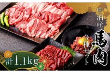馬肉 焼肉用 約600g＆馬刺し 約400g＆馬肉ユッケ 約100g セットA 合計1.1kg （タレ付き）中泊町産  【肉や】 ユッケ 馬 新鮮 国産 やきにく 刺身 肉 馬刺し 3種セット F6N-082