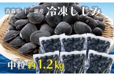 青森県 十三湖産 冷凍しじみ （中粒） 約1.2kg 【小野や】貝 しじみ 蜆 シジミ 魚貝 魚貝類 魚介類 冷凍 調理 料理 中泊町 青森 F6N-093