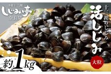 十三湖のしじみ 活しじみ 大粒 約1kg 【奈良屋】 蜆 シジミ 魚貝類 貝 オルニチン 十三 F6N-161