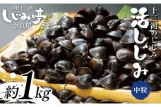 十三湖のしじみ 活しじみ 中粒 約1kg 【奈良屋】 蜆 シジミ 魚貝類 貝 オルニチン 十三 F6N-162