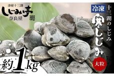 十三湖のしじみ 冷凍 寒しじみ 大粒 約1kg 【奈良屋】 蜆 シジミ 魚貝類 貝 オルニチン 十三 F6N-163