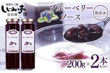 ブルーベリーソース 2本 【奈良屋】 F6N-176