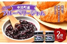 ブルーベリーつぶころジャム 2個セット（1個140g） 【中泊町特産物直売所ピュア】 ブルーベリー フルーツ 果物 くだもの ジャム 中里 小泊 中泊 青森 F6N-218