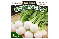 生で食べられる!皮まで丸ごと美味しい!野辺地葉つきこかぶ(5kg入)【1542452】