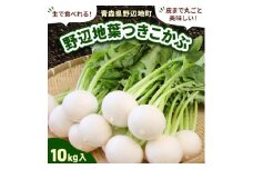 生で食べられる!皮まで丸ごと美味しい!野辺地葉つきこかぶ(10kg入)【1542460】