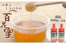 【数量限定】日本ミツバチの百花蜜2本セット（600ｇ×2）【ハチミツ 蜂蜜 はちみつ ニホンミツバチ 瓶詰め 国内産 青森県 七戸町】【02402-0245】