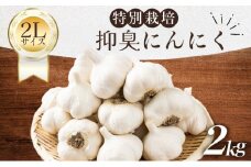 抑臭にんにく 2Lサイズ2kg【国産 にんにく Lサイズ 新鮮 野菜 長期保存 健康 贈り物 ギフト 東北 青森県 七戸町 送料無料】【02402-0320】