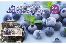 減農薬＜そのまま食べられる＞冷凍ブルーベリー（300ｇ）2袋セット　【02402-0431】