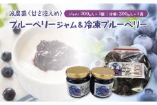 減農薬＜甘さ控えめ＞ブルーベリージャム（200g）と＜そのまま食べられる＞冷凍ブルーベリー（300g）のセット　【02402-0433】