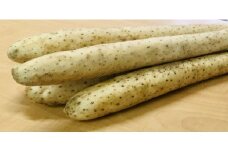 H-09　令和7年春掘り！　ながいも　２Lサイズ５kg