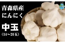 J-05　青森県産　にんにく　中１４玉～２０玉（約１㎏）