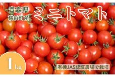 横浜町産ミニトマト1kg