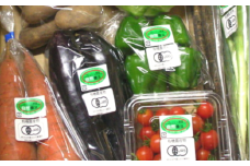 農家直送　有機JAS季節の野菜4～6品目詰め合わせセット