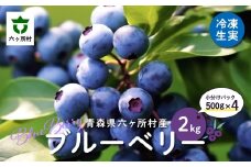 《先行予約 2026年8月中旬～順次出荷》 青森県 六ヶ所村産 ブルーベリー 冷凍生実 2kg