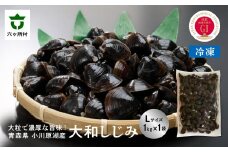 青森県 小川原湖産 冷凍 大和しじみ Lサイズ 1kg
