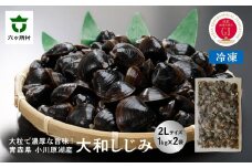 青森県 小川原湖産 冷凍 大和しじみ 2Lサイズ 2kg