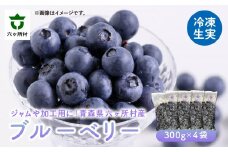 《先行予約 2026年7月下旬～順次出荷》冷凍ブルーベリー300g×4袋