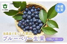 《先行予約 2026年7月下旬～順次出荷》ブルーベリー生実 A級品　1kg　100g×10パック