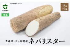 《先行予約》2025年12月中旬～発送開始　ネバリスター　5㎏×1箱