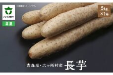 《先行予約》2025年12月中旬～発送開始　長芋　5㎏×1箱