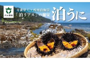 青森県六ヶ所村産　泊うに（甘塩うに）　60g