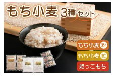 もち小麦 詰め合わせ セット もち姫(粒) 300g 2袋 もち姫(粉) 500g 2袋 姫っこもち 200g 3袋 [アグリの里おいらせ 青森県 おいらせ町 oi02ayo590008] 小麦 もち 餅 モチ もち麦