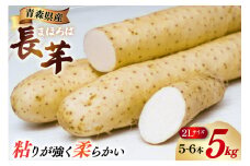 長芋 まほろば長芋 2L サイズ 5〜6本 約 5kg [柏崎青果 青森県 おいらせ町 oi02ayo620005] ながいも 長いも 5キロ とろろ