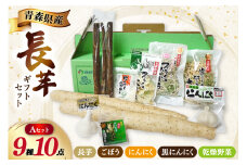 青森野菜 詰め合わせ セット A 全9種 [柏崎青果 青森県 おいらせ町 oi02ayo620007] 長芋 ながいも 長いも ごぼう 牛蒡 ニンニク にんにく スライス パウダー 粉末 切り干し大根 切干大根