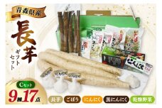 青森野菜 詰め合わせ セット C 全9種 [柏崎青果 青森県 おいらせ町 oi02ayo620008] 長芋 ながいも 長いも ごぼう 牛蒡 ニンニク にんにく スライス パウダー 粉末 切り干し大根 切干大根