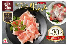 生ハム 3回 定期便 おいらの生ハム ロース27g 計30p セット [日本ハムマーケティング 青森県 おいらせ町 oi02ayo820008] ハム 日本ハム 日ハム 小分け サラダ おつまみ