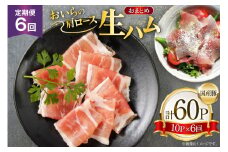 生ハム 6回 定期便 おいらの生ハム 肩ロース 30g 計60p セット [日本ハムマーケティング 青森県 おいらせ町 oi02ayo820011] ハム 日本ハム 日ハム 小分け サラダ おつまみ