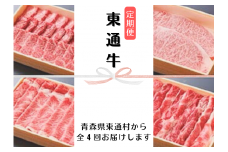【S-2】Higashidoori Silver 2