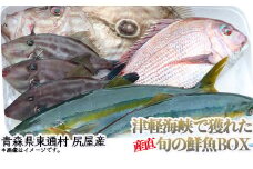 【A-02-01】尻屋産旬の鮮魚BOX