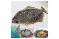 津軽海峡産天然ひらめ「彩光ひらめ」1尾（２kg程度）