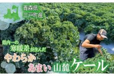 県内一の寒暖差が生んだ、やわらか甘い山麓ケール