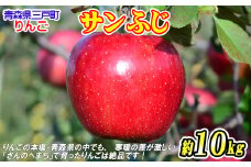 りんご【サンふじ】 約10kg（24～40玉）【2025年産・先行予約】★2025年12月上旬～2026年1月中旬頃まで発送予定★ 青森県三戸町産