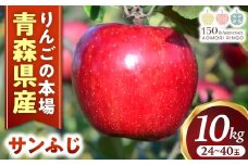 りんご【サンふじ】 約10kg（24～40玉）【2025年産・先行予約】★2025年12月上旬～2026年1月中旬頃まで発送予定★ 青森県三戸町産 りんご 林檎 フルーツ 果物 果実 青森 三戸 高級 贈答 ギフト プレゼント 産地直送 農家直送 青森県三戸町 H2802