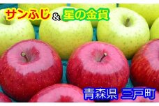 りんご【サンふじ＆星の金貨】セット 約5kg（計12～20玉）【2025年産・先行予約】★2025年11月中旬～12月中旬頃まで発送予定★ 青森県三戸町産