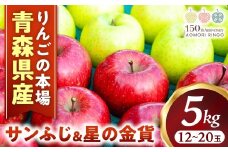 りんご【サンふじ＆星の金貨】セット 約5kg（計12～20玉）【2025年産・先行予約】★2025年11月中旬～12月中旬頃まで発送予定★ りんご 林檎 リンゴ 果物 フルーツ 国産 贈答 土産 青森県 三戸町 H2832