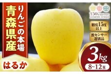 ★蜜センサー選別品★高級りんご【はるか】約3kg（8～12玉）【2025年産・先行予約】★2025年12月上旬～2026年1月上旬頃まで発送予定★ りんご 林檎 リンゴ 希少 はるか フルーツ 果物 国産 贈答 土産 青森県 三戸町 H2833