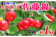 さくらんぼ【佐藤錦】 約1kg（L～2Lサイズ）バラ詰め【2025年産・先行予約】★2025年6月中旬～7月上旬頃にかけて順次発送予定★ 青森県三戸町産