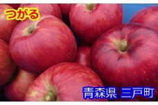 りんご【つがる】約5kg（12～20玉）【2025年産・先行予約】★2025年9月上旬～9月下旬頃まで発送予定★ 青森県三戸町産